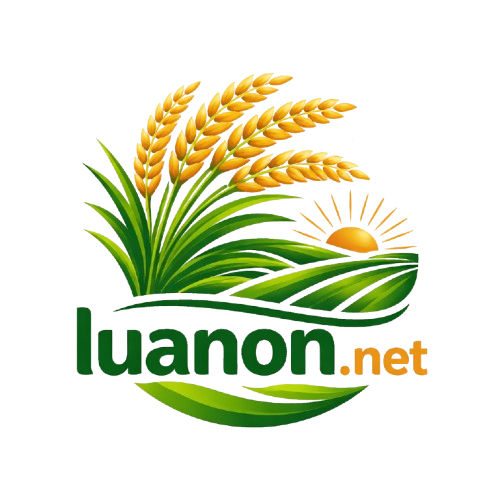 Logo luanon.net